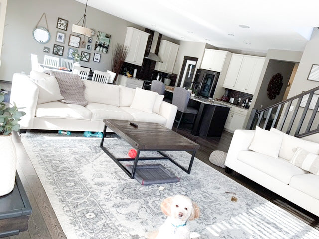 Cloud Skana Custom Loveseat view 5